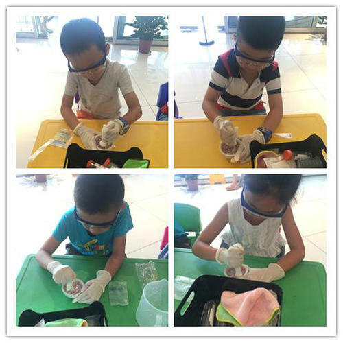 《DNA項鏈》帶你探尋生命的階梯