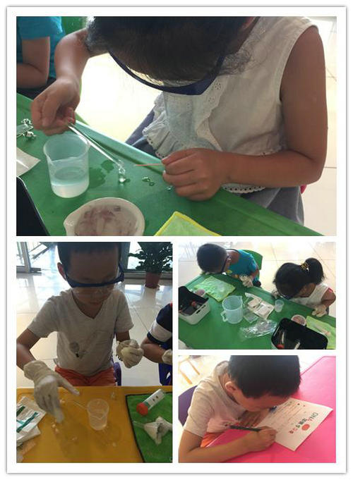 《DNA項鏈》帶你探尋生命的階梯