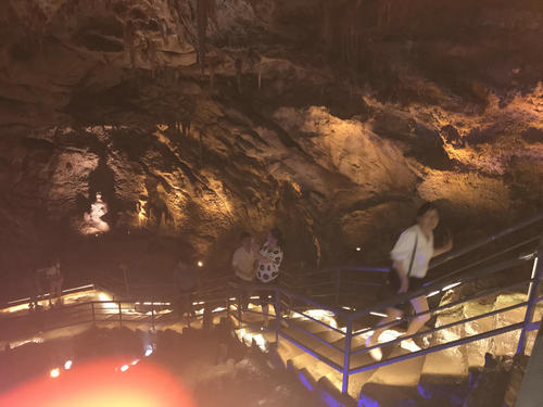 我館今年組織員工外出參觀學(xué)習(xí)本市文化科普類場(chǎng)館