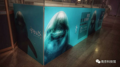 野生動(dòng)物攝影科普展“我們生活在南京”即將在南京科技館開(kāi)展
