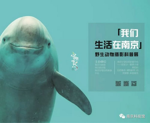 野生動(dòng)物攝影科普展“我們生活在南京”即將在南京科技館開(kāi)展