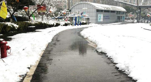 瑞雪兆豐年，勞動展風采——南京科技館開展掃雪活動