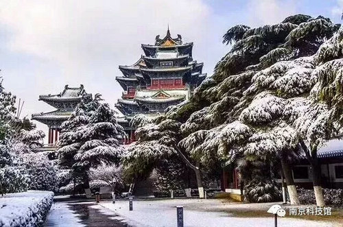 雪中的南京科技館，雪中的你們