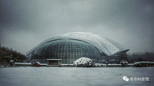 雪中的南京科技館，雪中的你們
