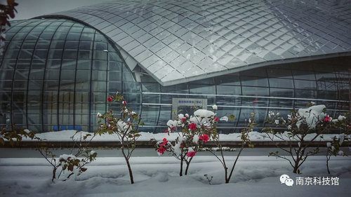雪中的南京科技館，雪中的你們