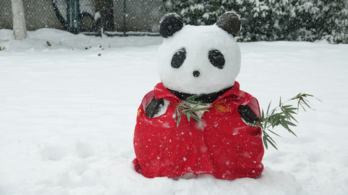 1月28日暴雪天氣閉館公告