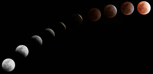 大型公益天文觀月活動(dòng)