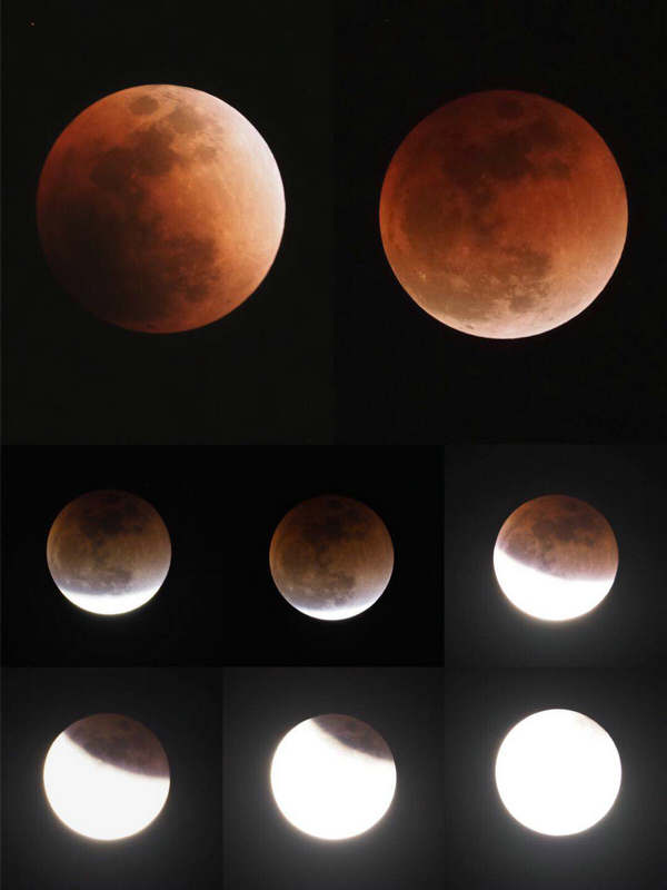 市民們?cè)谖茵^觀測(cè)月全食