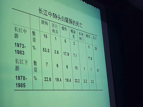 《長江里的國寶——白鱀豚》主題講座在我館順利開講