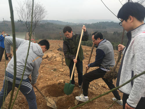 科技館支部赴溧水參加義務(wù)植樹暨紅色教育活動(dòng)
