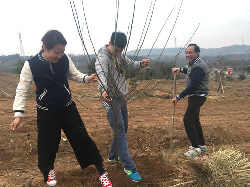 科技館支部赴溧水參加義務(wù)植樹暨紅色教育活動(dòng)