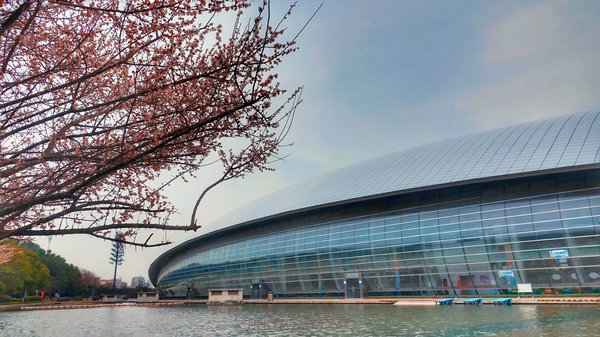 科技館園區(qū)即將進(jìn)入最佳賞花期