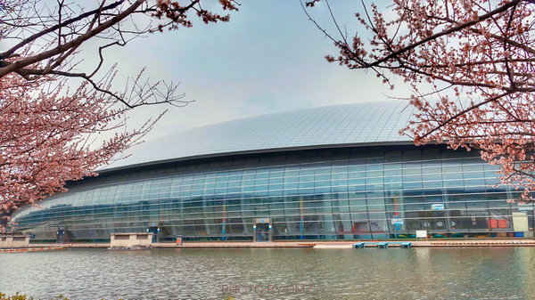 科技館園區(qū)即將進(jìn)入最佳賞花期