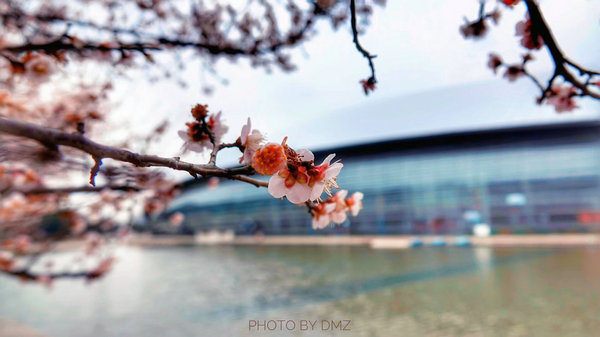 科技館園區(qū)即將進(jìn)入最佳賞花期