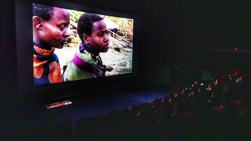 專家講堂《漫談東非野生動物王國》在我館開講
