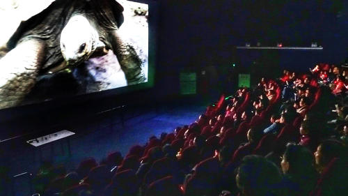 專家講堂《漫談東非野生動物王國》在我館開講