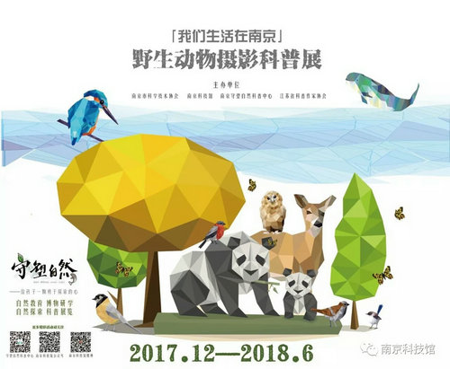 野生動物攝影科普展“我們生活在南京”