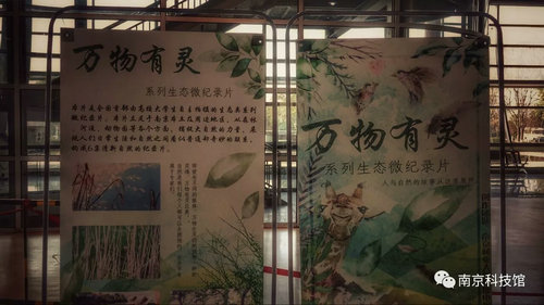 野生動物攝影科普展“我們生活在南京”