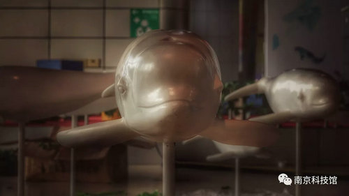 野生動物攝影科普展“我們生活在南京”