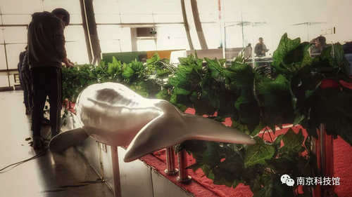 野生動物攝影科普展“我們生活在南京”