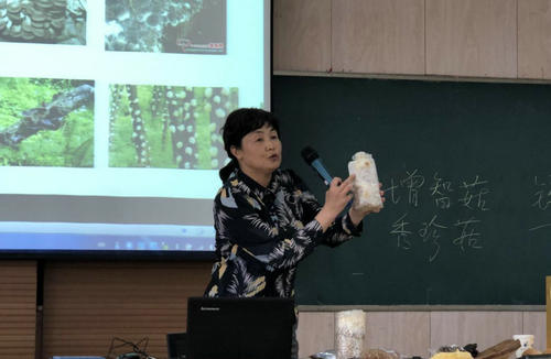 小營小學(xué)樂享“科普盛宴”