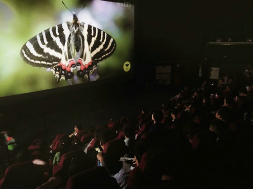 聽蝴蝶老師在科技館講蝴蝶的故事