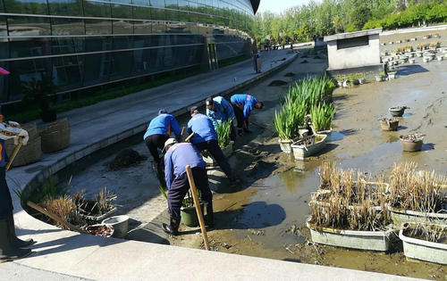湖床清淤，讓鏡湖水清如許