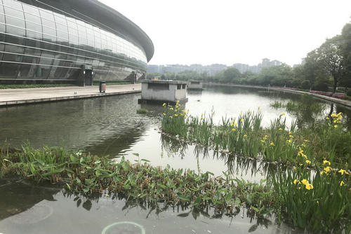湖床清淤，讓鏡湖水清如許
