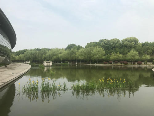 湖床清淤，讓鏡湖水清如許