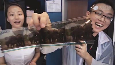 現(xiàn)場(chǎng)連線“大藍(lán)鯨直播間”球幕新片《野性非洲》周末試播