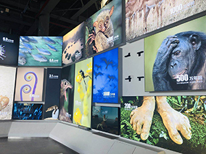 “安比”來了出不去？我館室內(nèi)游玩寶典看過來