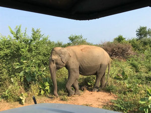 南京科協(xié)大講堂《斯里蘭卡奇遇記》在我館開講