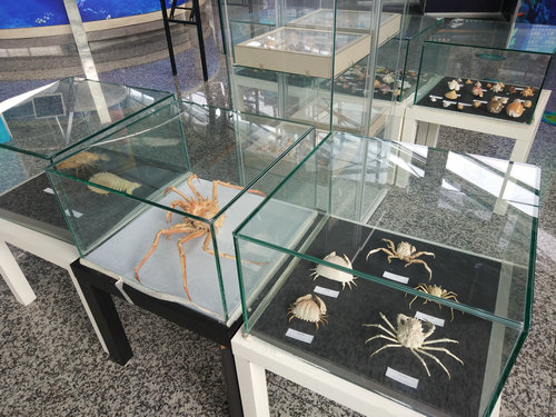 海洋知識(shí)科普展