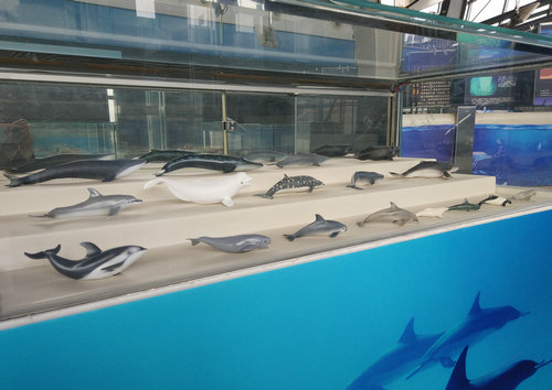 海洋知識(shí)科普展