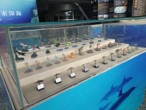 海洋知識(shí)科普展