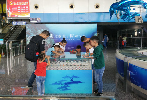 科技館國(guó)慶“科普游”倍受游客青睞