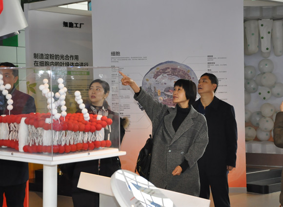 桂林市科協(xié)領(lǐng)導來南京科技館考察交流