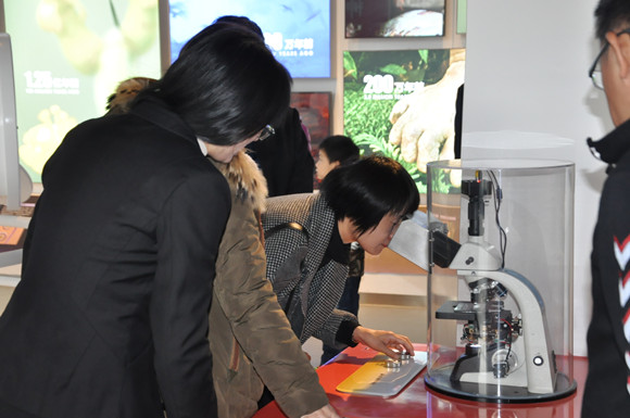 桂林市科協(xié)領(lǐng)導來南京科技館考察交流