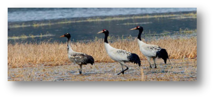《科普報告進校園》系列科普講座 ——動物行為趣談