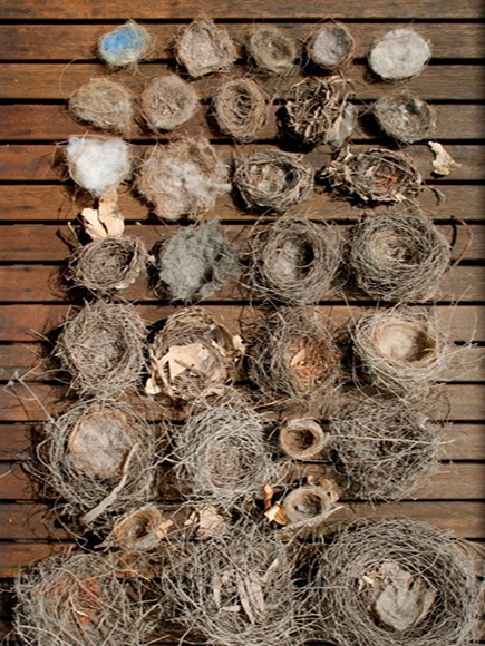 《科普報告進校園》系列科普講座 ——動物行為趣談