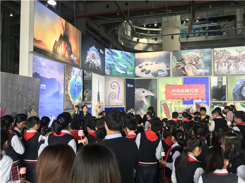 雨花外國(guó)語(yǔ)小學(xué)來(lái)館開(kāi)展“館校合作”研學(xué)活動(dòng)