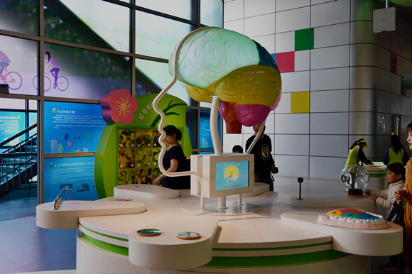 一樓：“基礎科學”和“少兒科普”