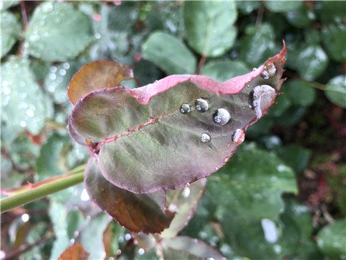 養(yǎng)精蓄銳 蓄勢待發(fā)