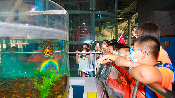 七彩夏日科普行 市區(qū)聯(lián)動助“雙減”——高淳區(qū)專場圓滿結(jié)束