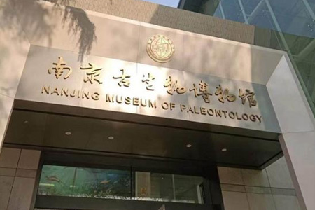 中科院南京古生物博物館