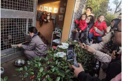 南京市紅山森林動(dòng)物園