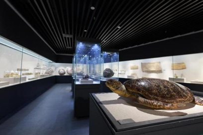 江蘇省中醫(yī)藥博物館