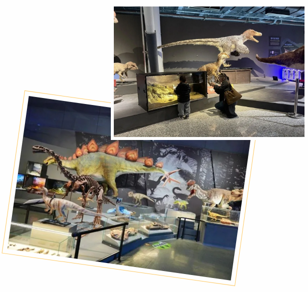 科技賦能年味 創(chuàng)新點(diǎn)亮新春——南京科技館新春系列活動圓滿收官